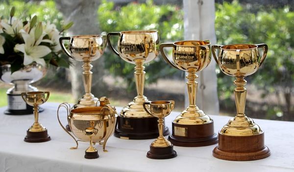 Melbourne Cup coverage on TVNZ 1