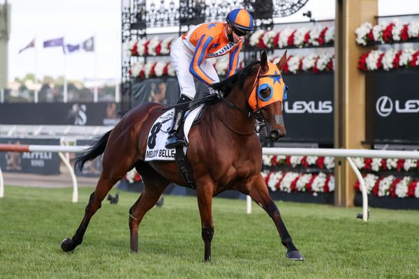 Belle returns home ahead of final campaign