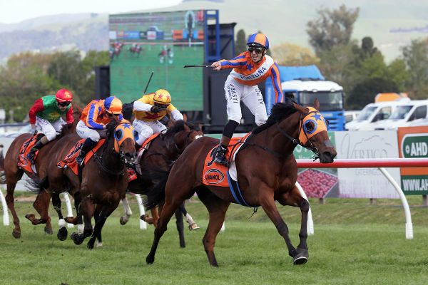 Richards chasing Trans-Tasman features