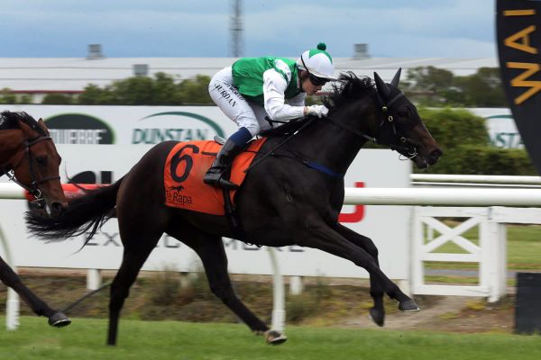 Bargain buy set for Karaka Million