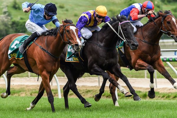 Ballarat Cup aim for Mongolian Marshal