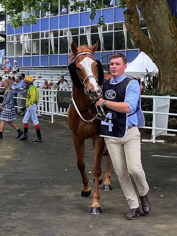 Scholarship winner announced