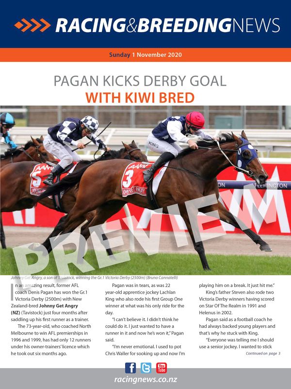 NZ Racing and Breeding News – 01 November 2020