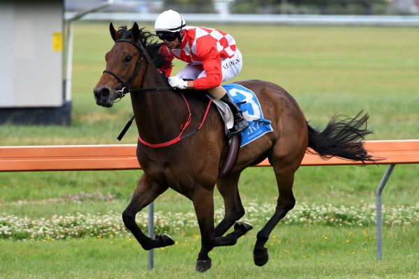 One More Time impressive at Avondale