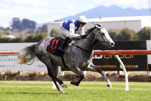 First stakes tilt for talented mare