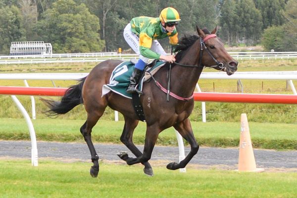 Team Anderton head south