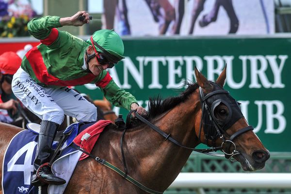 Prince Oz honours Ridley in Stewards triumph