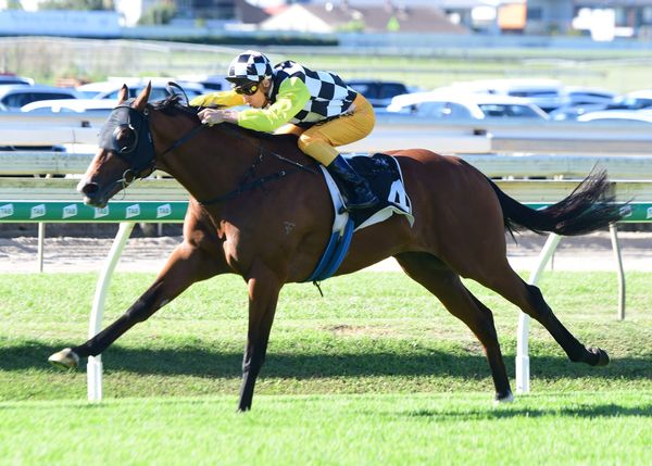 Thompson stable in Purple patch of form