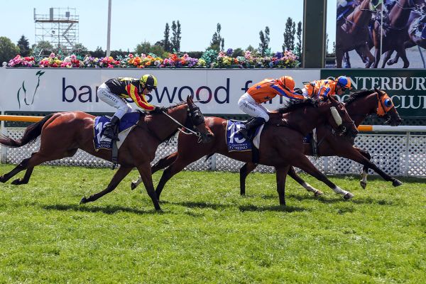 Te Akau celebrating Super Saturday