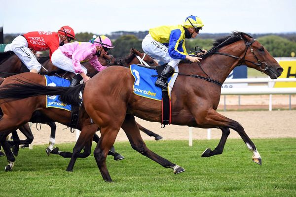 Riding The Wave impressive at Ballarat