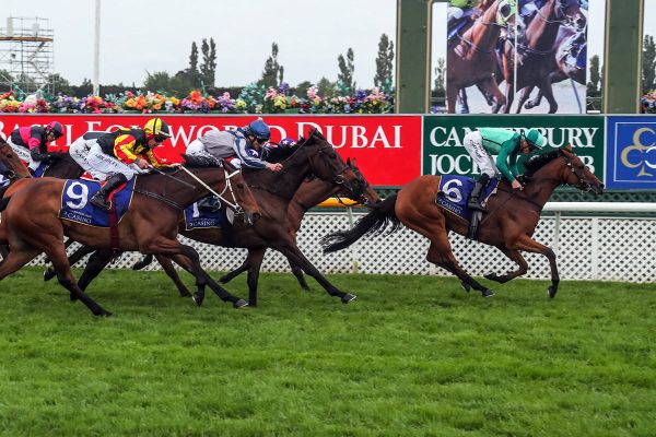 Robusto produces perfect New Zealand Cup trial
