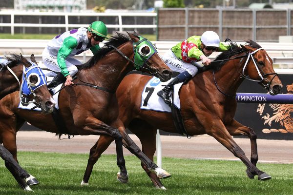 Flemington Group Three winner for Charm Spirit