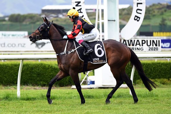 Shezzacatch remains unbeaten with solid showing at Awapuni