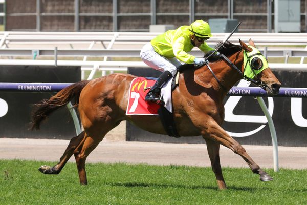 Sandown Cup aim for Sin To Win