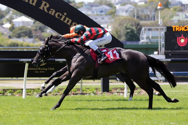 Wexford bringing the heat to Te Rapa