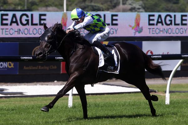 Tellall impresses with Ellerslie stakes victory