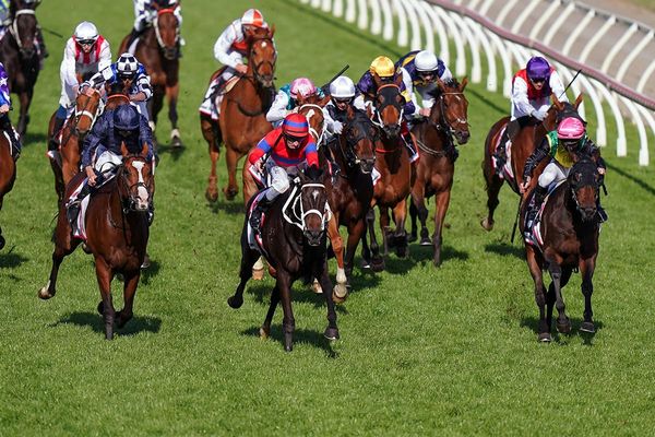 Barrier enhances The Chosen One’s Cup prospects