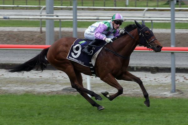 Alexander hoping for Guineas fairytale