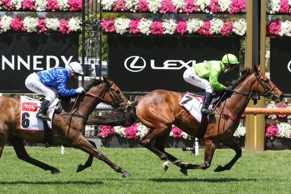 Tavistock mare salutes at Flemington