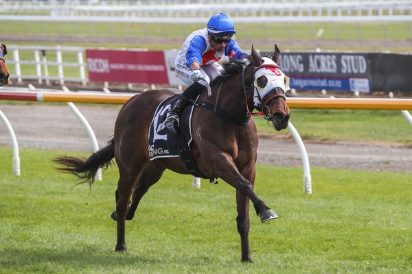 Southern Guineas hopes rest with Pitmans