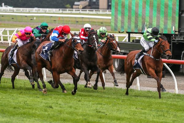 Wekaforce too speedy in Pegasus Stakes
