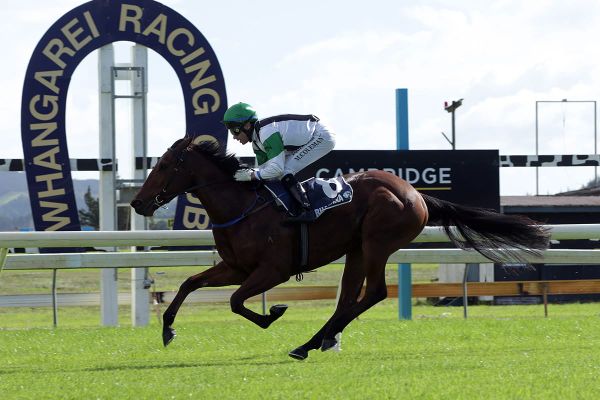 Wekas set for a good gallop at Riccarton