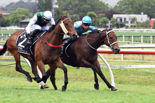 Pep Torque hits top gear