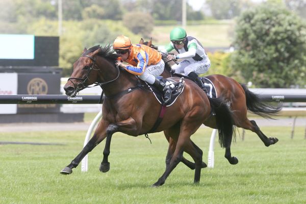 Stakes assignment for impressive Ellerslie winner