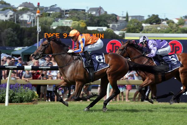 Amarelinha the latest bright young talent in tangerine