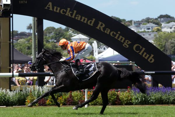 Exciting colt on proven Levin Classic path