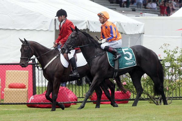 Another strong Te Rapa book for Bosson