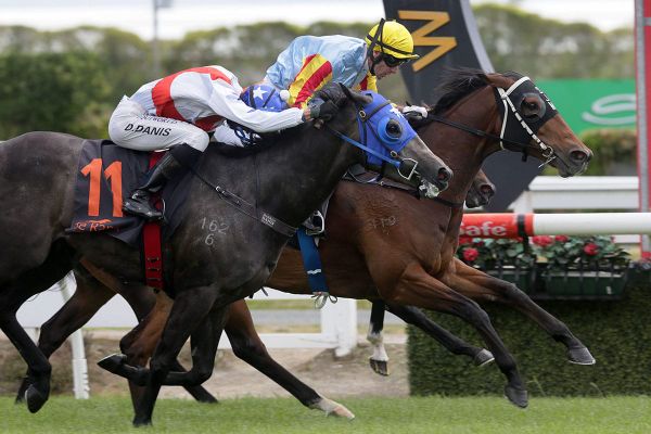 McKee team firing up for Christmas racing