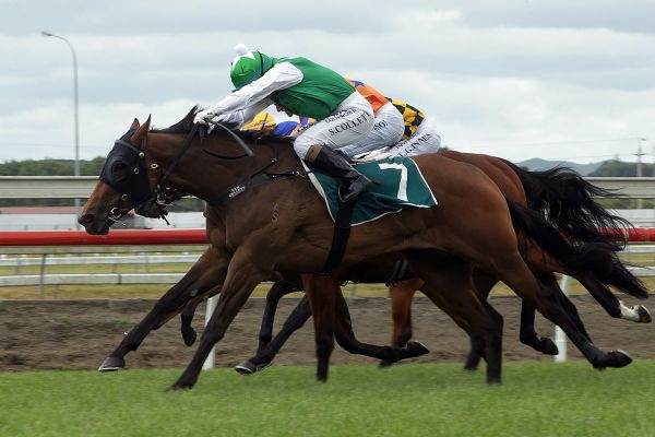 Multiple Million candidates for Harvey