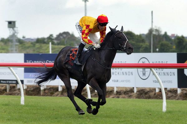 Catwalk Girl ready to strut at Te Rapa