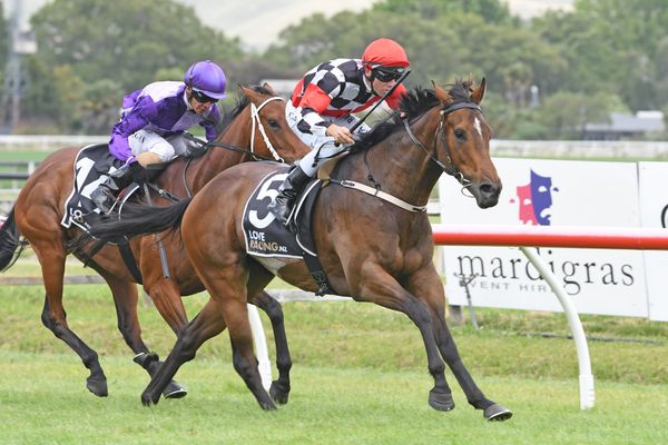 Dark Alley has bright future