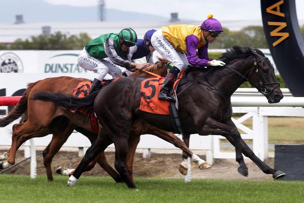 Te Rapa double brings Christmas cheer to Browne stable