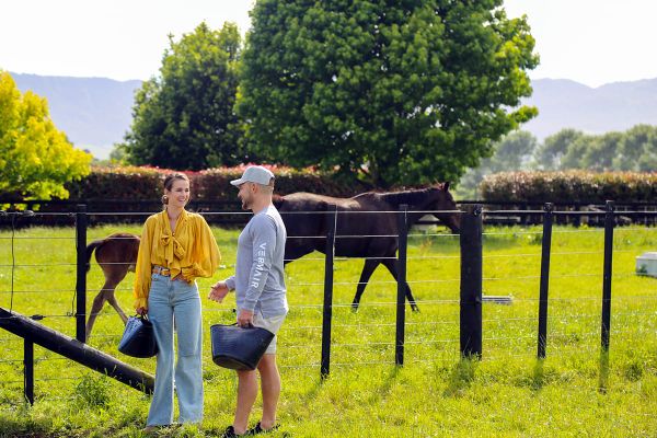 New show highlights the people behind the racing industry