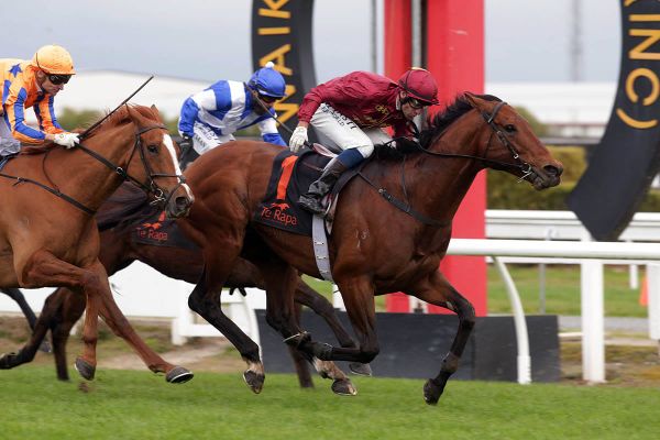 Endless Drama retired