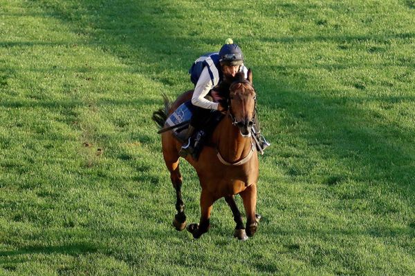 55 Second Challenge for El Roca filly