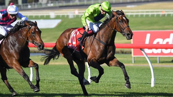 Tralee Rose on trial for bigger races