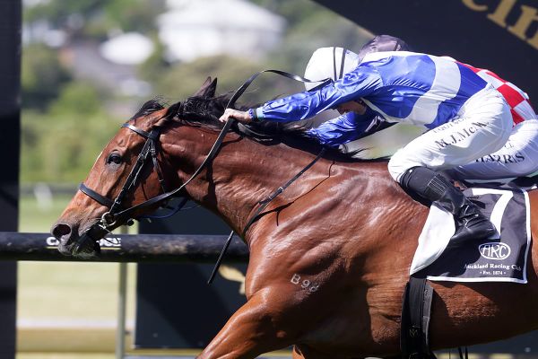 Cooksley shoots for another Zabeel Classic triumph