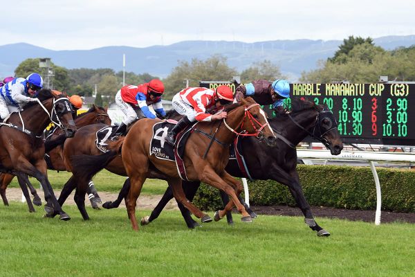 Thrilling finish to Manawatu Cup