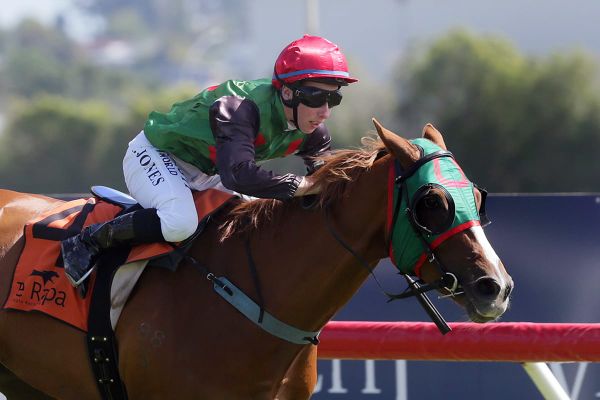 Stakes success still sinking in for young apprentice