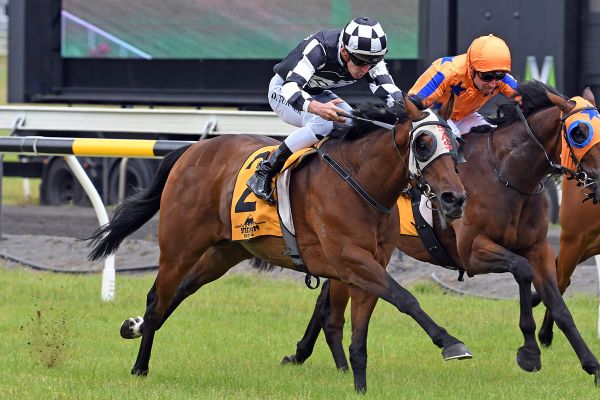 Sharrock with further ammunition to fire