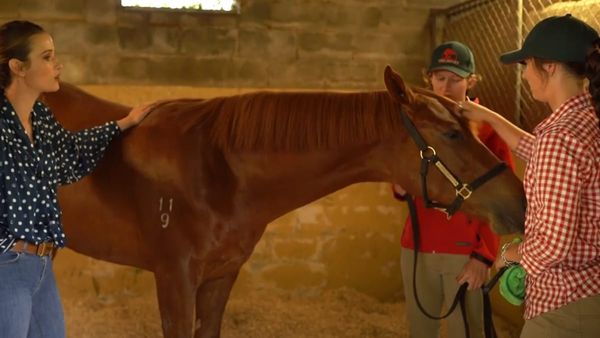 Beyond The Winning Post | Laura MacNab & Hannah Airey