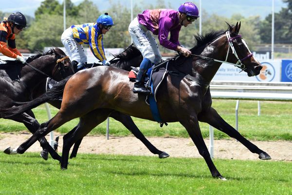 Relief for Latta with Lincoln Falls