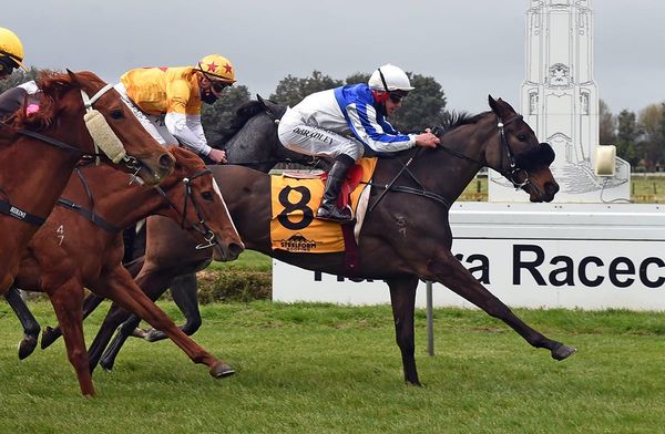 Awapuni duo further advocates for Newman’s training talent