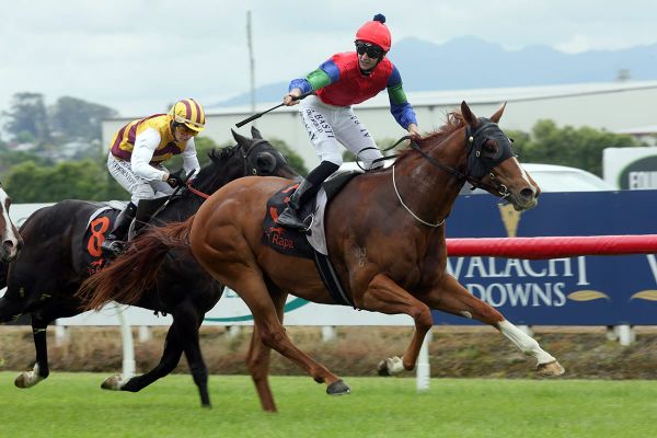 Mascarpone hoping to get the cream