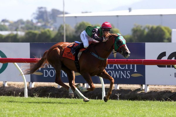 Daring ride pays off in Waikato Cup