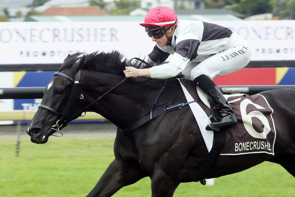 Opalescence upsets in Ellerslie feature